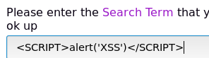 xss3
